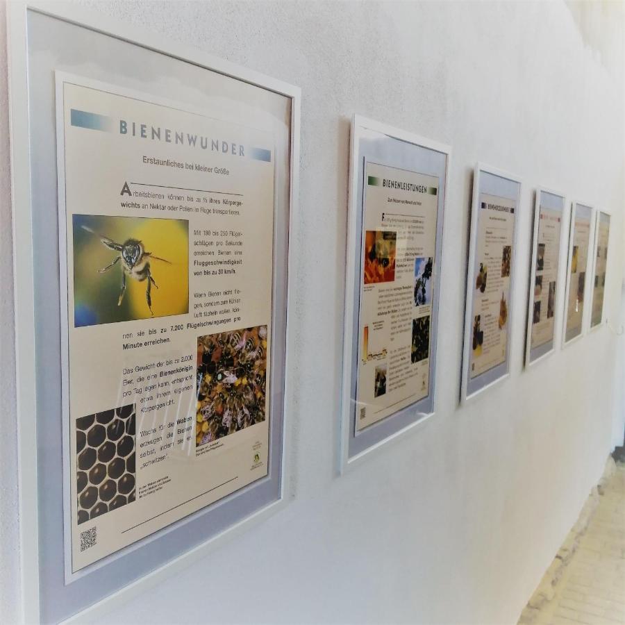 Turmblick-Gaestequartier-Coswig-Hier-Erwartet-Sie-Individueller-Service-Im-Herzen-Der-Altstadt คอสวิช ภายนอก รูปภาพ
